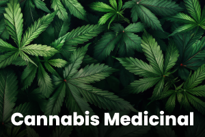 Cannabis_Medicinal